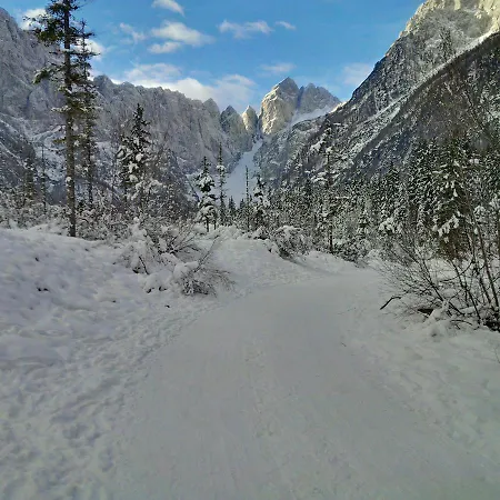 Apartman House Neza *