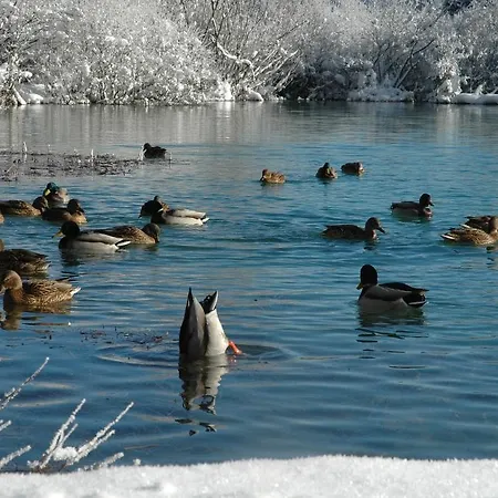 House Neza Apartment