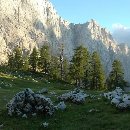 Apartmán House Neza *