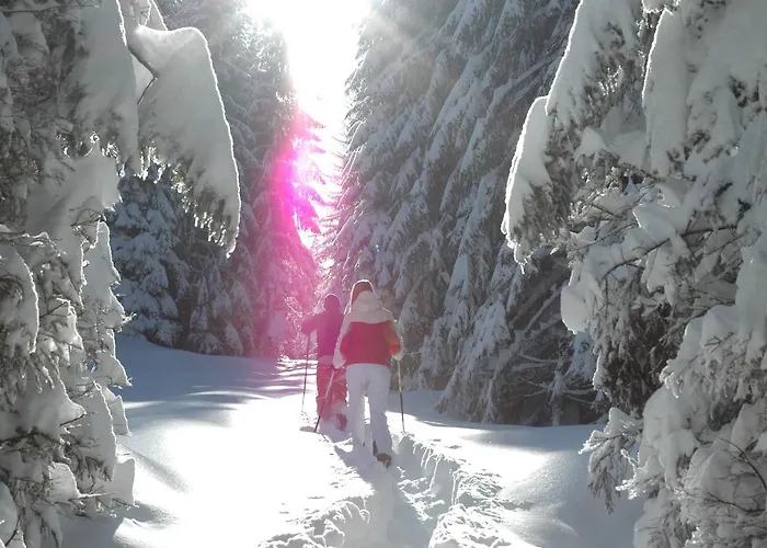 House Neza Apartma *