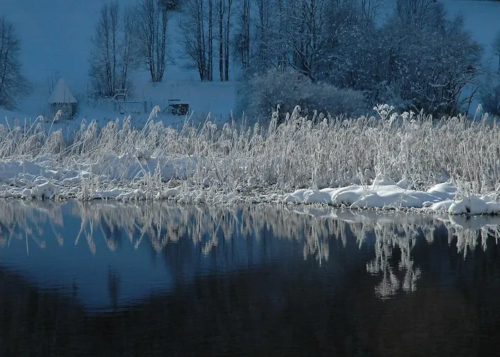 House Neza Apartment Kranjska Gora
