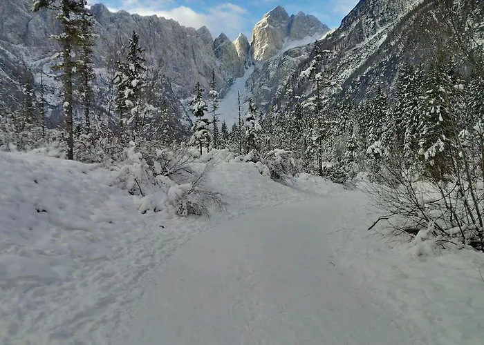 Apartment House Neza *