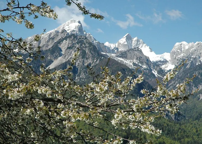 House Neza * Kranjska Gora
