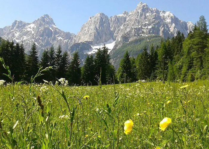 Apartma House Neza Kranjska Gora