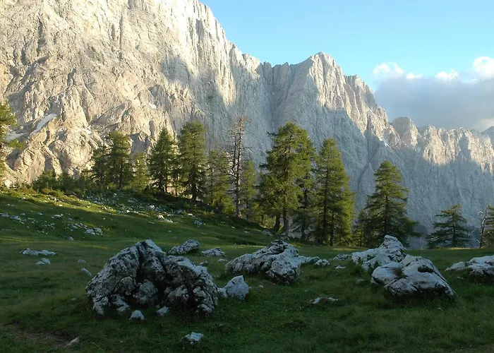 Apartma House Neza *